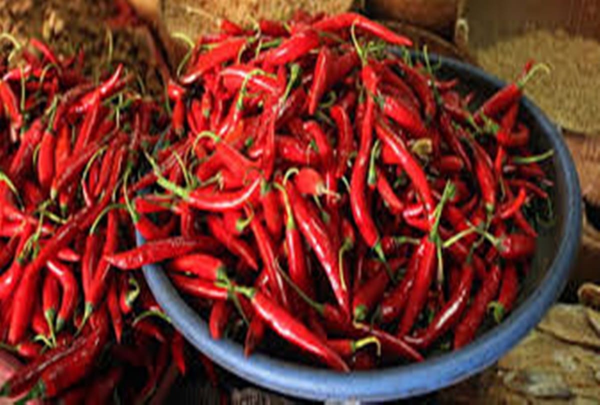 These red chilli totke will change your luck 
