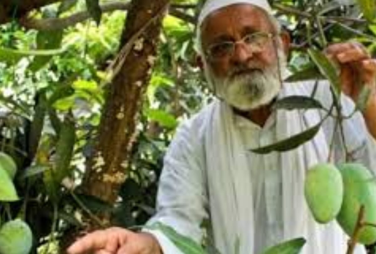 mango man kalimullah khan named the new mango variety 'Mamta' 