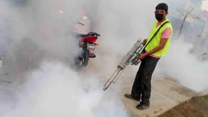 why mosquitoes is dangerous for humans