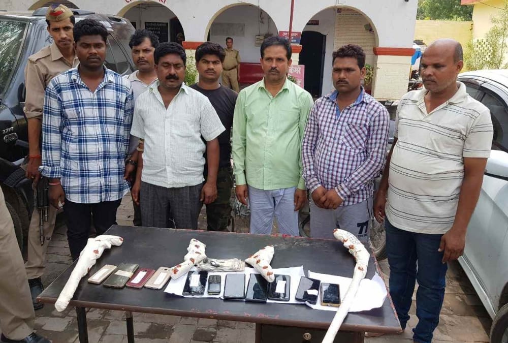 property dealers threatens to occupied land in lucknow.