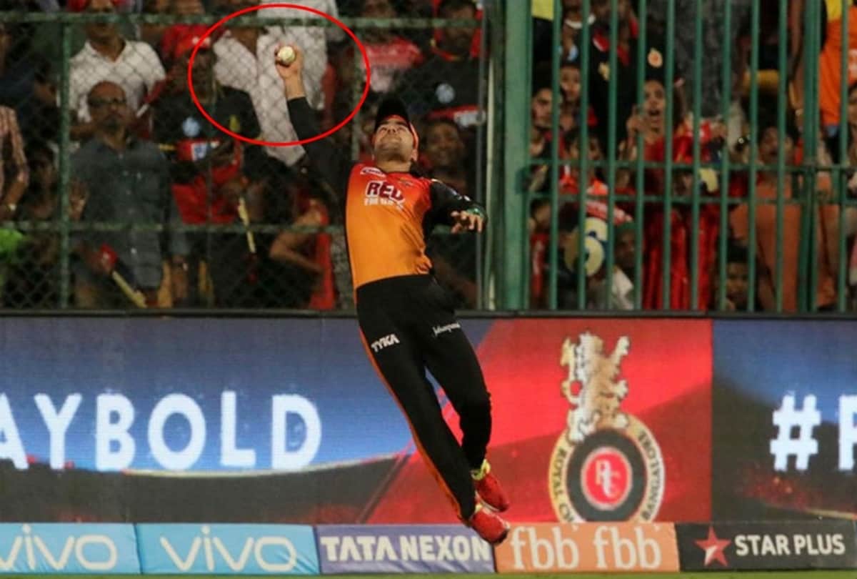 IPL 2018: Rashid Khan takes a superb catch in Trent Boult sttyle to Dismiss Colin de Grandhomme