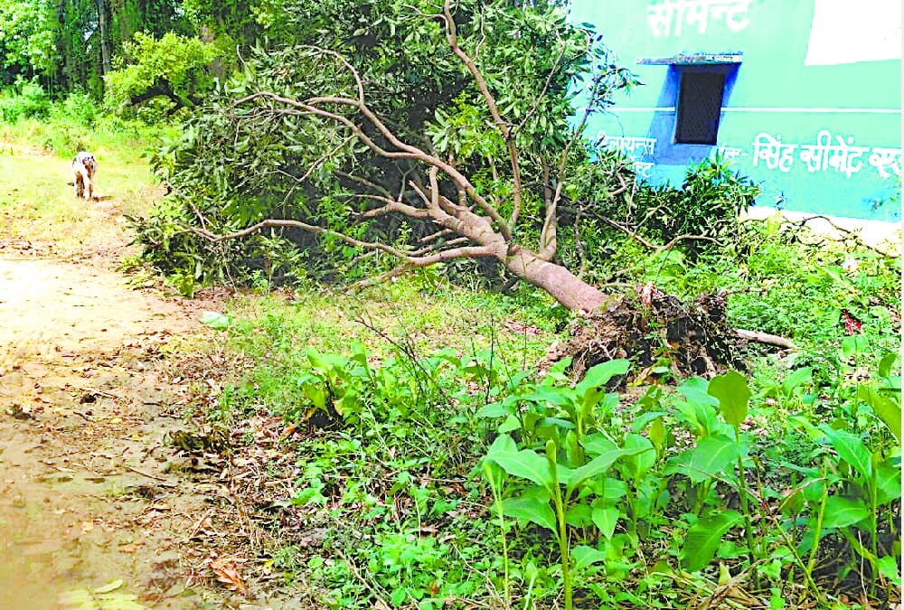 storm in gonda and balrampur.