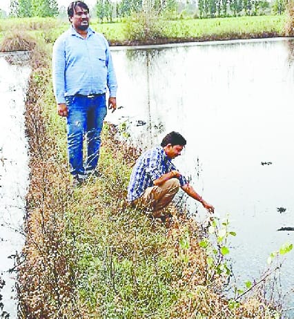 Distillery Spreading Pollution