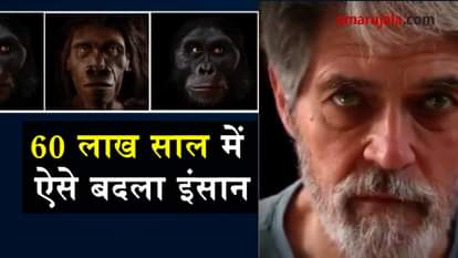 Human face evolution in the last 6 million years