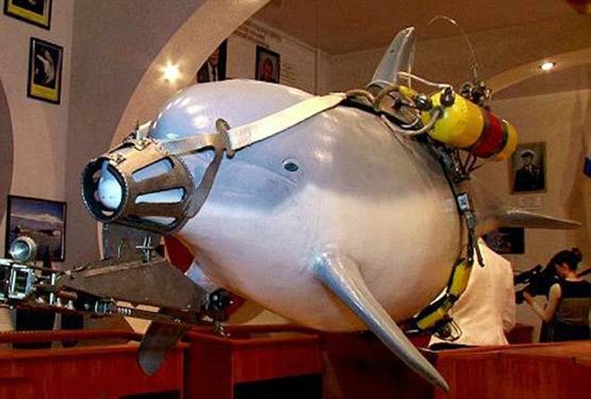 Ukraine spy dolphin died patriotically during hunger strike after Russian capture