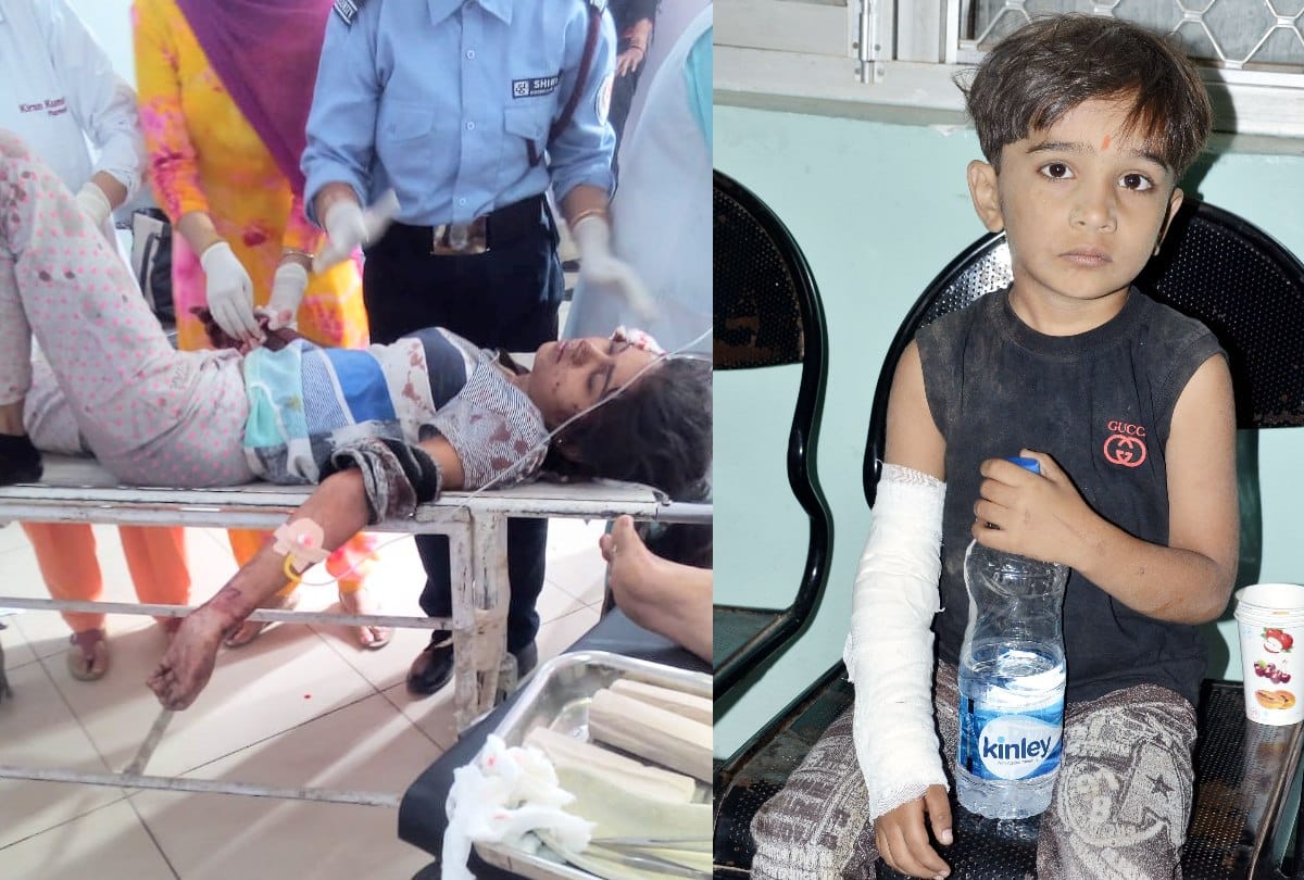 Bilaspur Tourist Bus accident 26 injured 3 refer to PGI Chandigarh