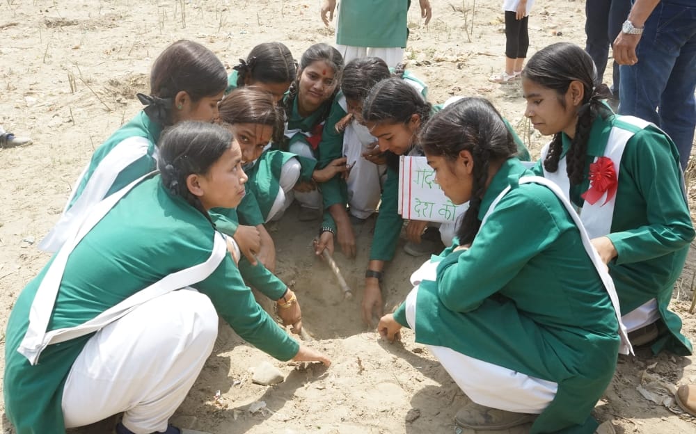 tree plantation for rispana river dehradun
