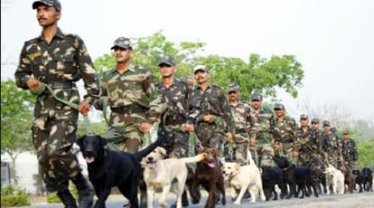 Retired Dogs of Army will get life, British rule ends