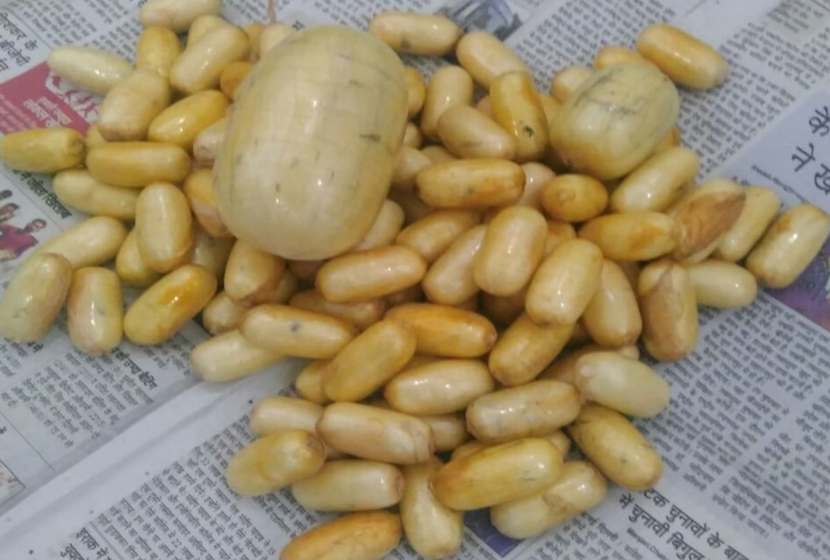 Narcotics Control Bureau at IGI airport arrested woman with pure South American Cocaine delhi ncr