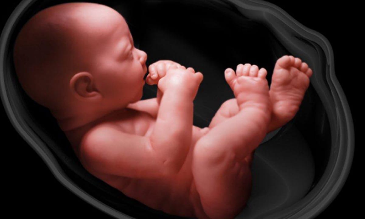 Tavishi Perara may be Indias first child without father thanks to Madras high court direction