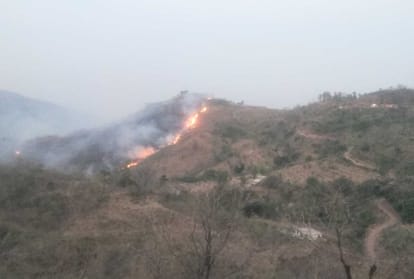 big loss due to forest fire in solan himachal