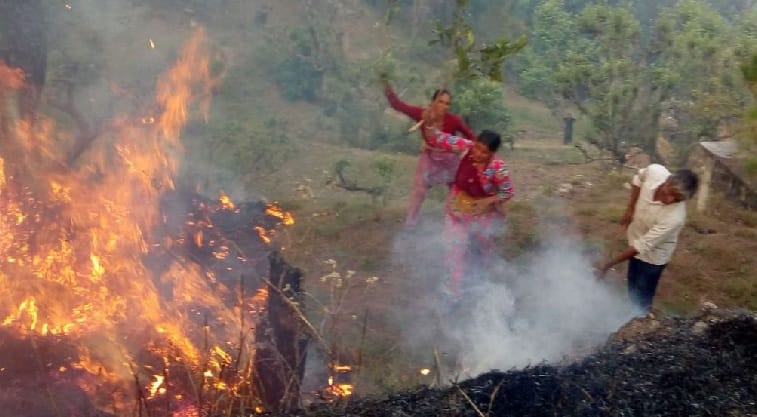 Forest fires reached the fields of Gavad