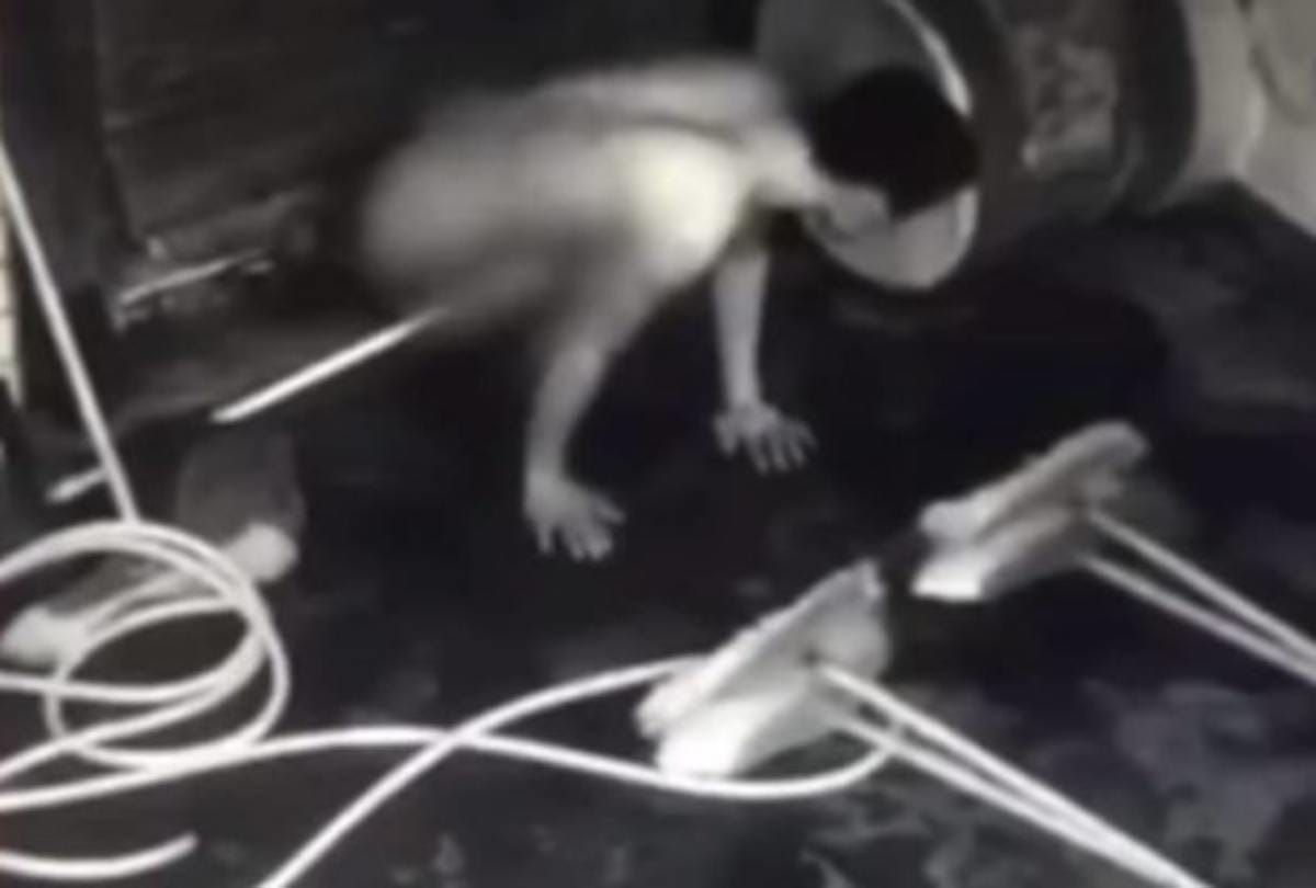 Naked thief who wore only underwear on his head arrested by thiruvananthapuram police 