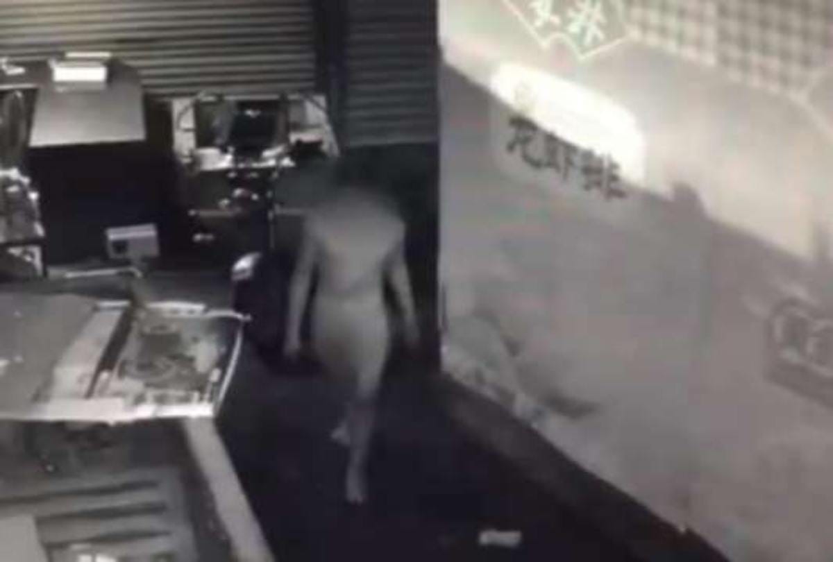 Naked thief who wore only underwear on his head arrested by thiruvananthapuram police 