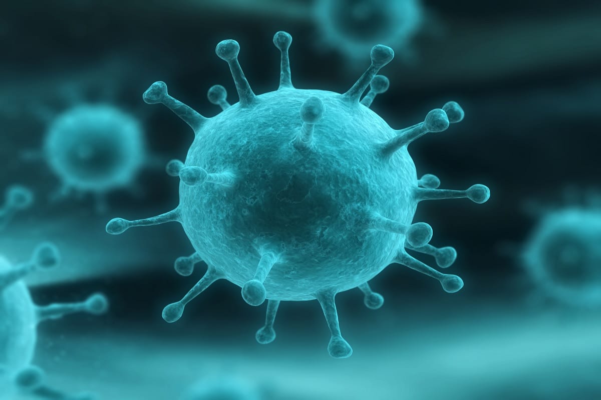Nipah virus spreading from bat these are some causes