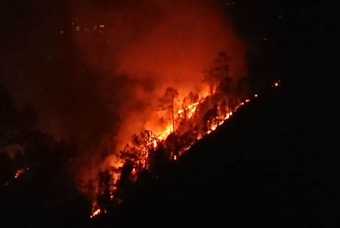 wild fire in uttarakhand panchachuli forest