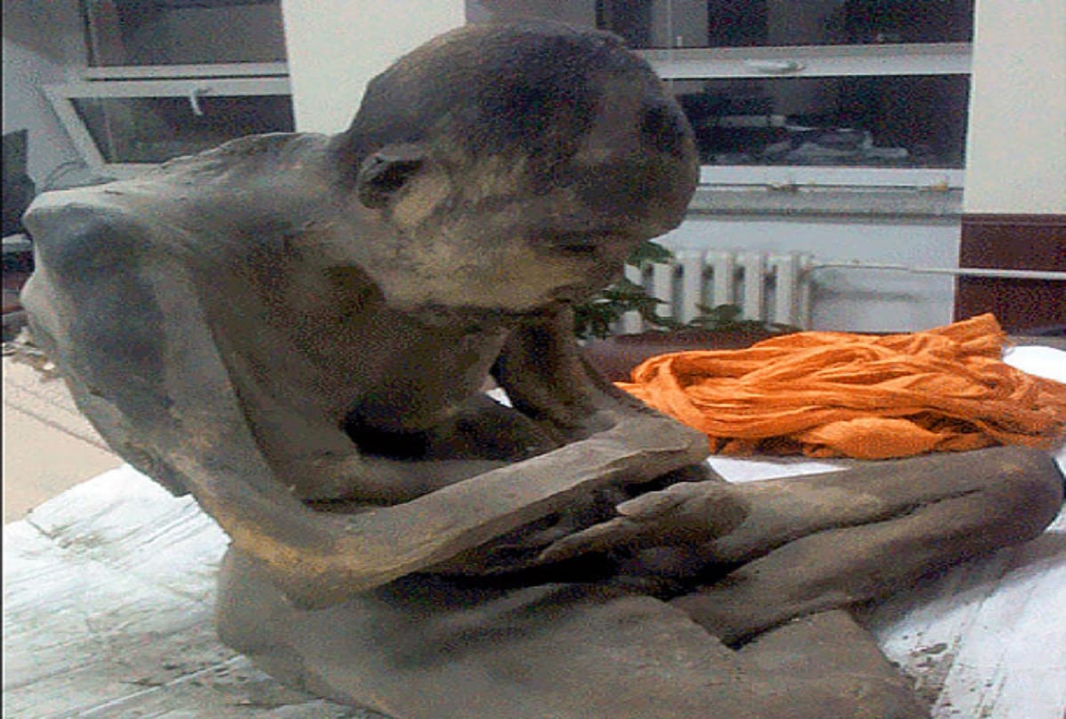 Mummified monk Found In 1000 year old gold buddha statue