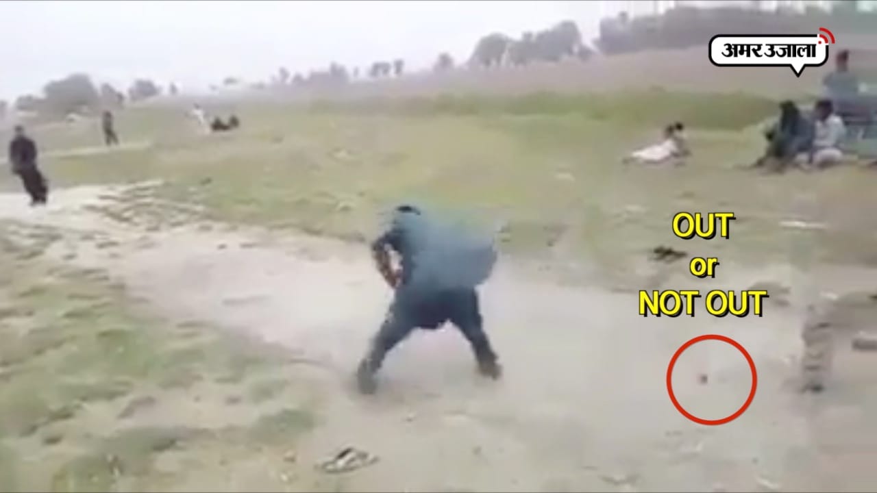 क्रिकेट