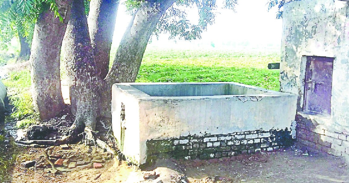 yovak ki hatya kar shav hauj me feka