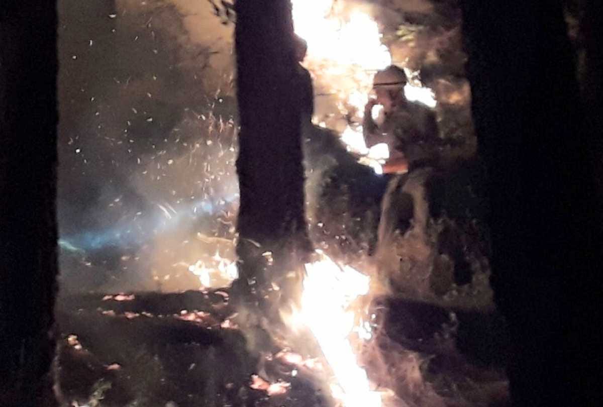 large scale forest fire recorded in himachal