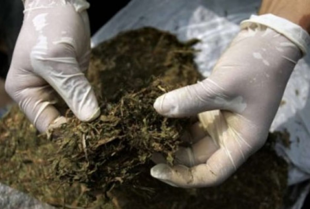 Mirzapur: Going to sell Hemp from Odisha to Bahraich, three smugglers arrested