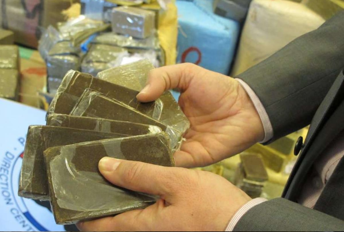 Hemp, Cannabis, Bhang is Beneficial for Money Earning and to Cure Diseases