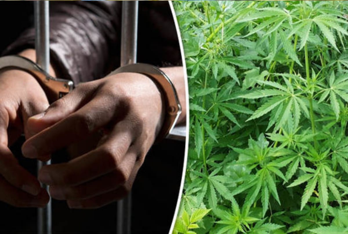 Hemp worth one crore was being taken from Chhattisgarh to Bihar Chandauli police arrested two