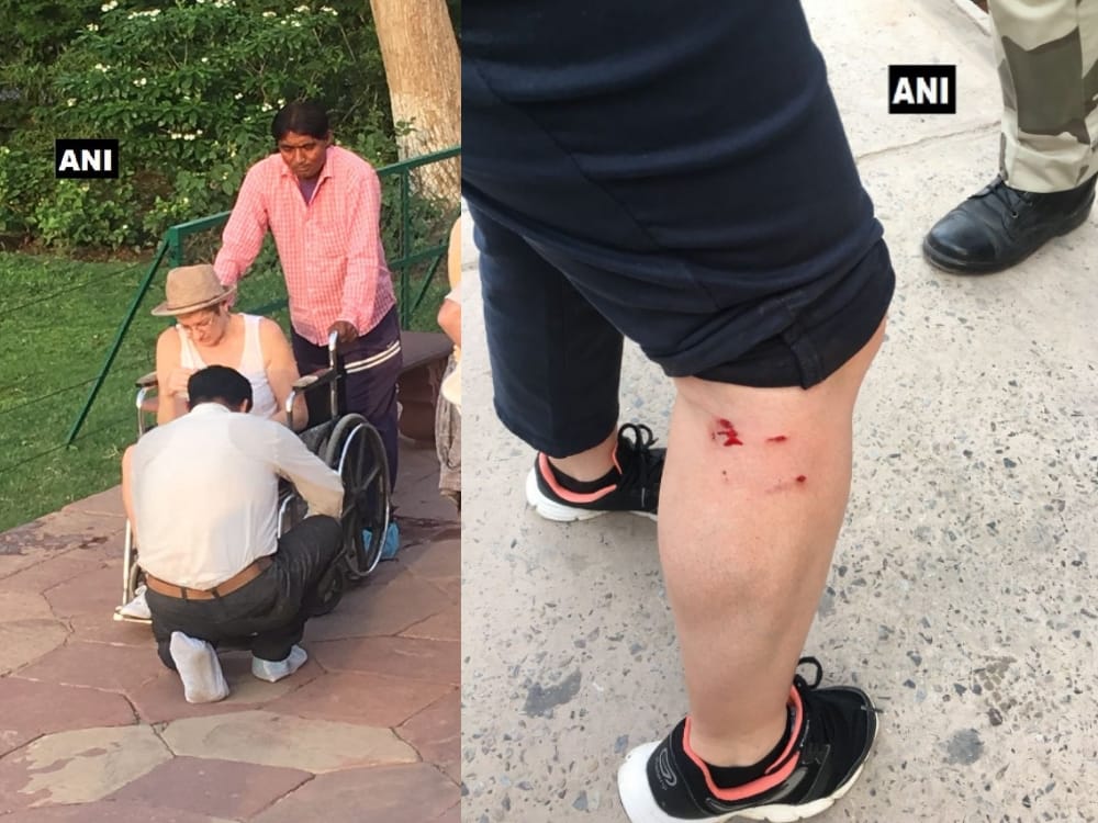 agra monkeys attacked two foreign tourists in taj mahal