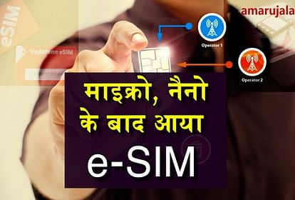 government launched e sim
