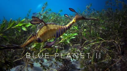 British TV Series Blue Planet 2 now will release in india