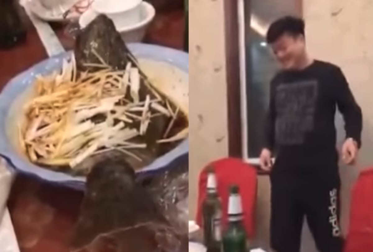 After cooking fish become live while man having it video goes viral 