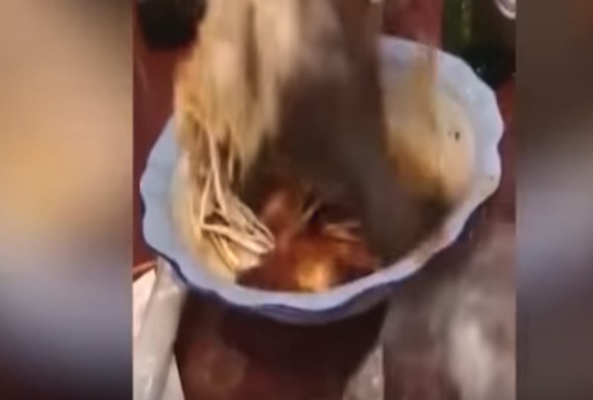 After cooking fish become live while man having it video goes viral 