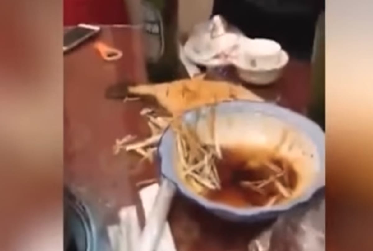 After cooking fish become live while man having it video goes viral 