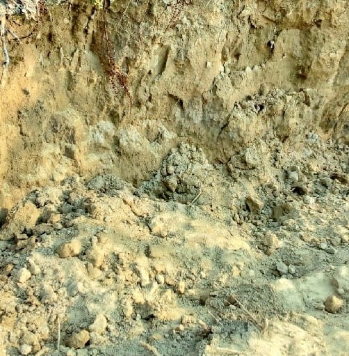 Two girls dies as mud falls on them