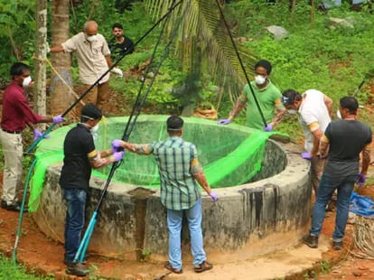 Nipah Virus re entered in kerala, know all about it, symptoms, effect, rescue & treatment,