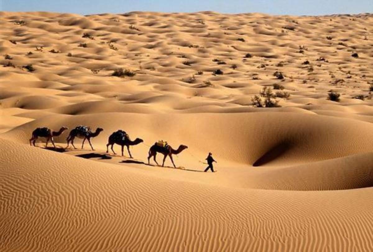 Five hidden facts about worlds largest desert sahara