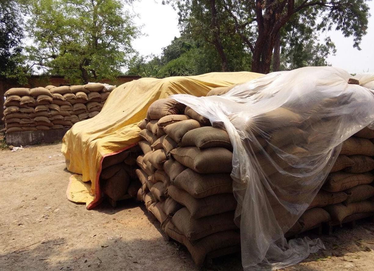  to waste 19000 MT wheat at deliberately purchasing centers