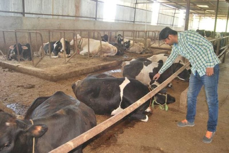 जिले में 39 सरकारी डेयरियां हुईं बंद