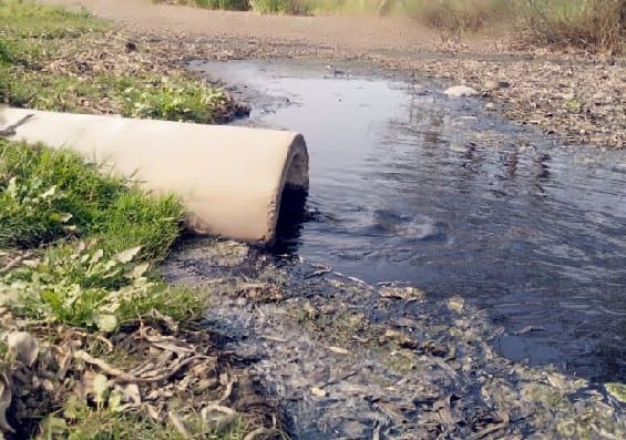 Dirt from sugar mill polluting water