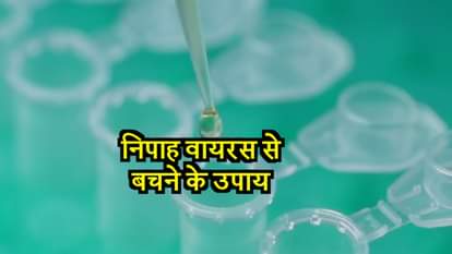 Here's how you can protect yourself from the Nipah Virus