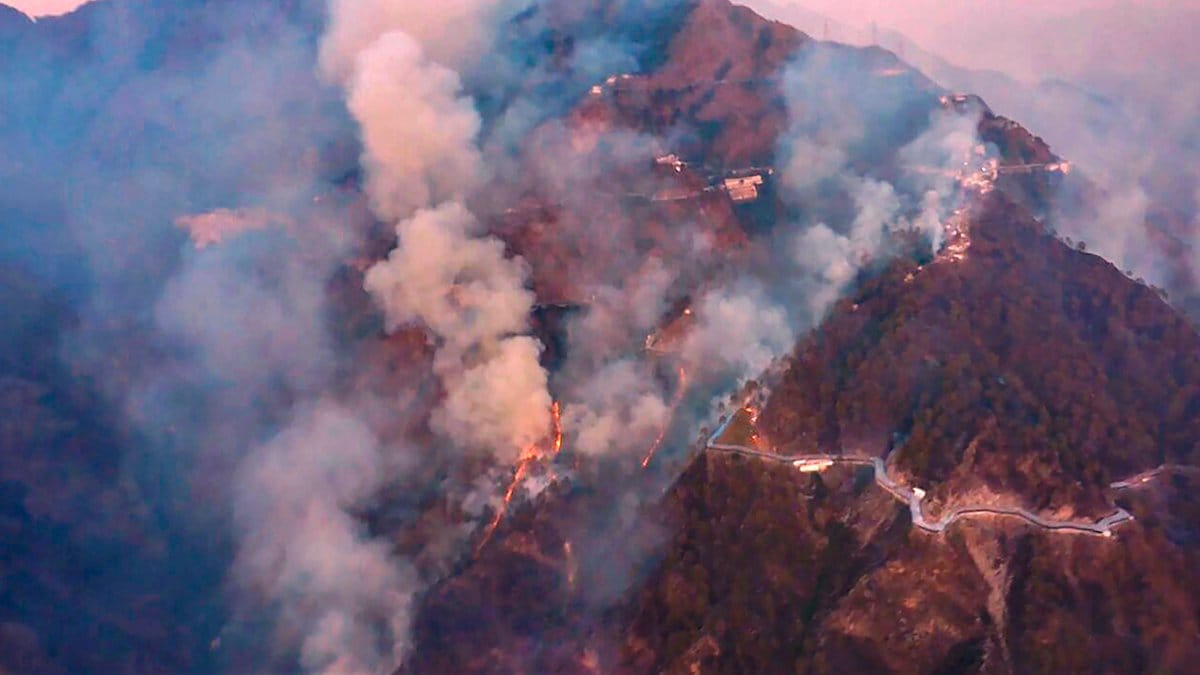 Vaishno Devi yatra resumes as forest fire brought under control