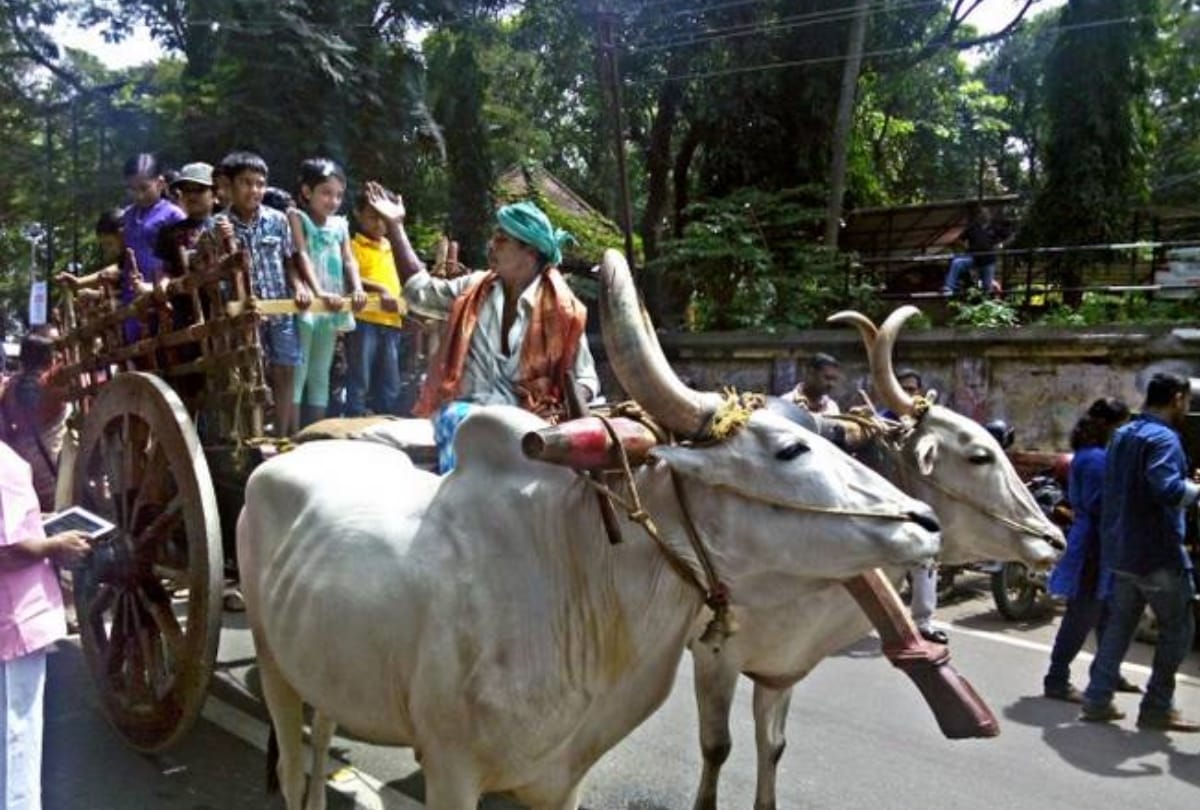 congress mlc deepak singh asked pass for bullock cart