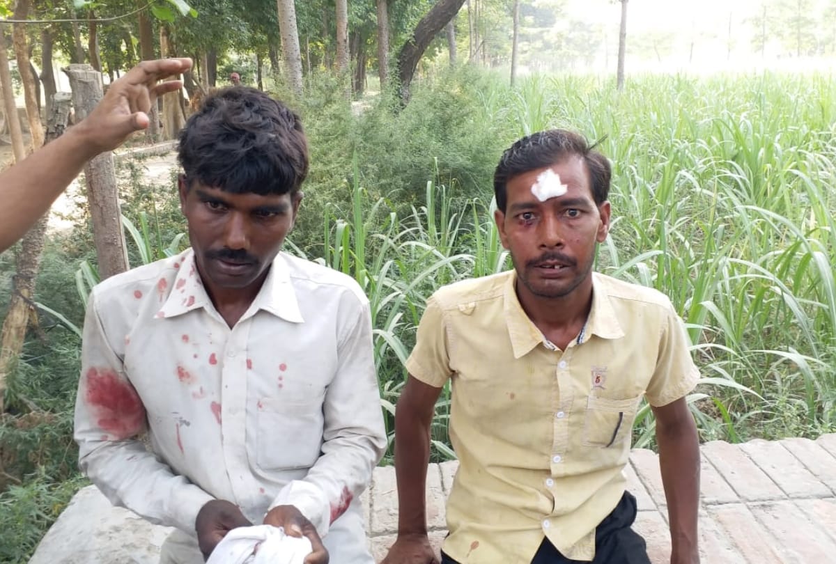 tiger attacked on farmers in sitapur
