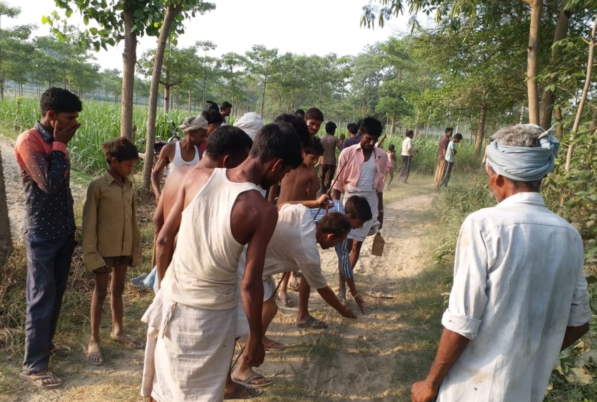 tiger attacked on farmers in sitapur