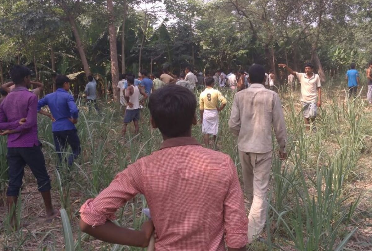 tiger attacked on farmers in sitapur
