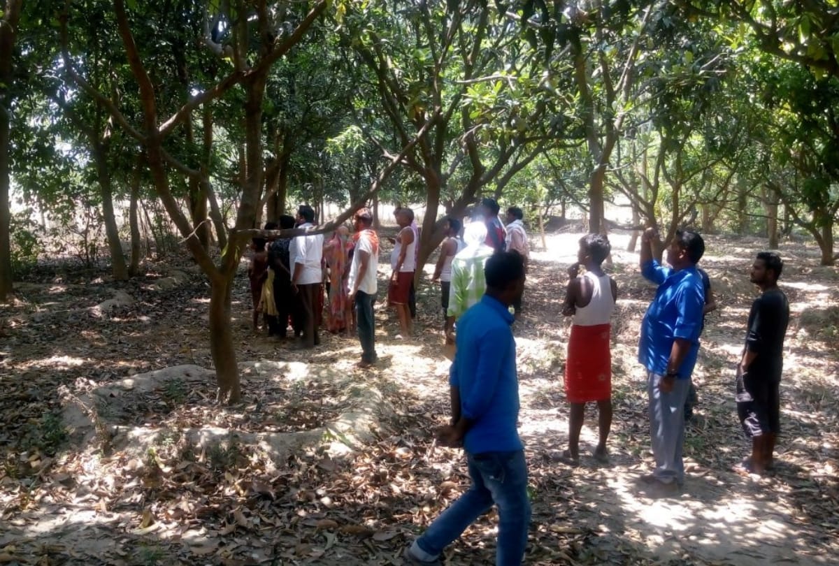 tiger attacked on farmers in sitapur