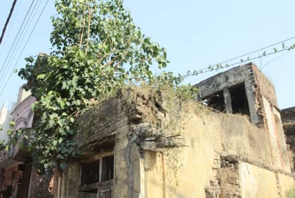 alert in villages of bangana una After bats found dead