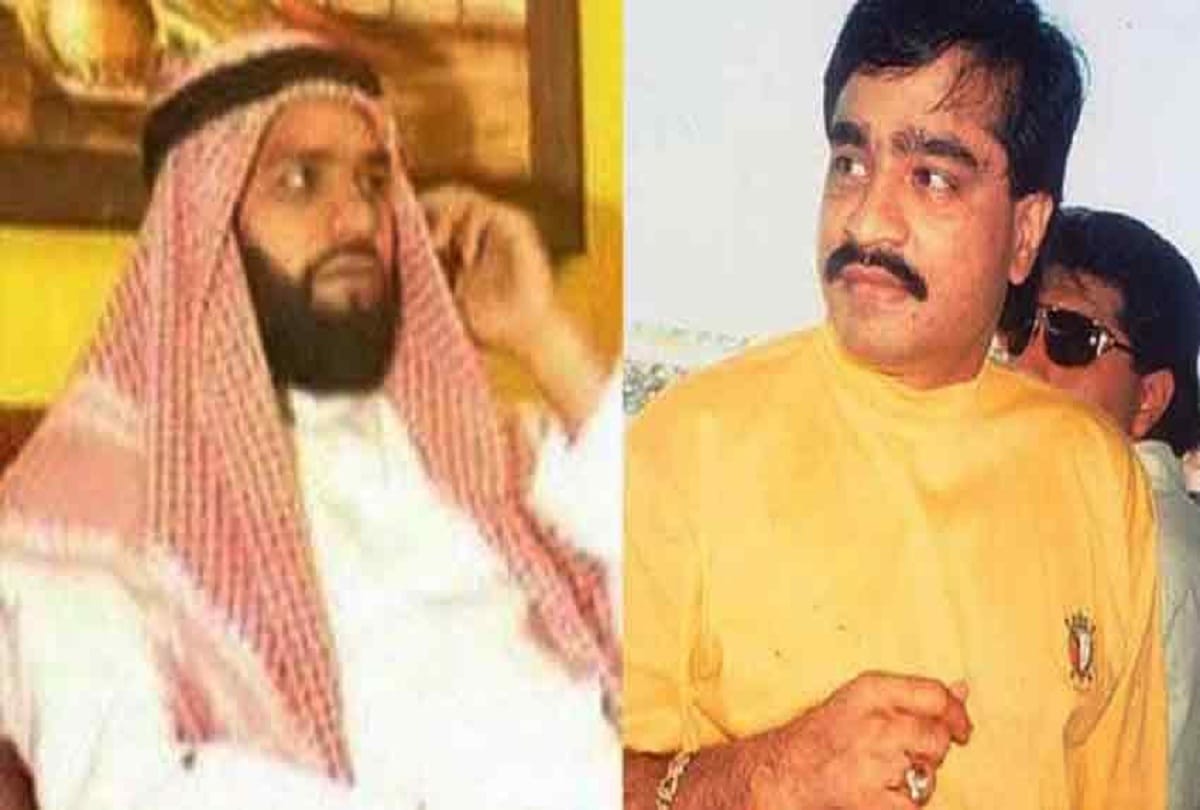 Underworld Don Ali Budesh says Dawood Ibrahim threatens bjp mla to my name
