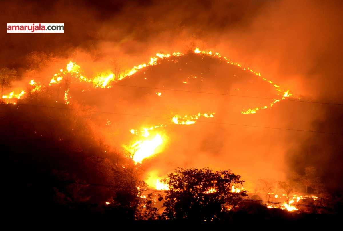 forest minister govind thakur statement over forest fire in himachal