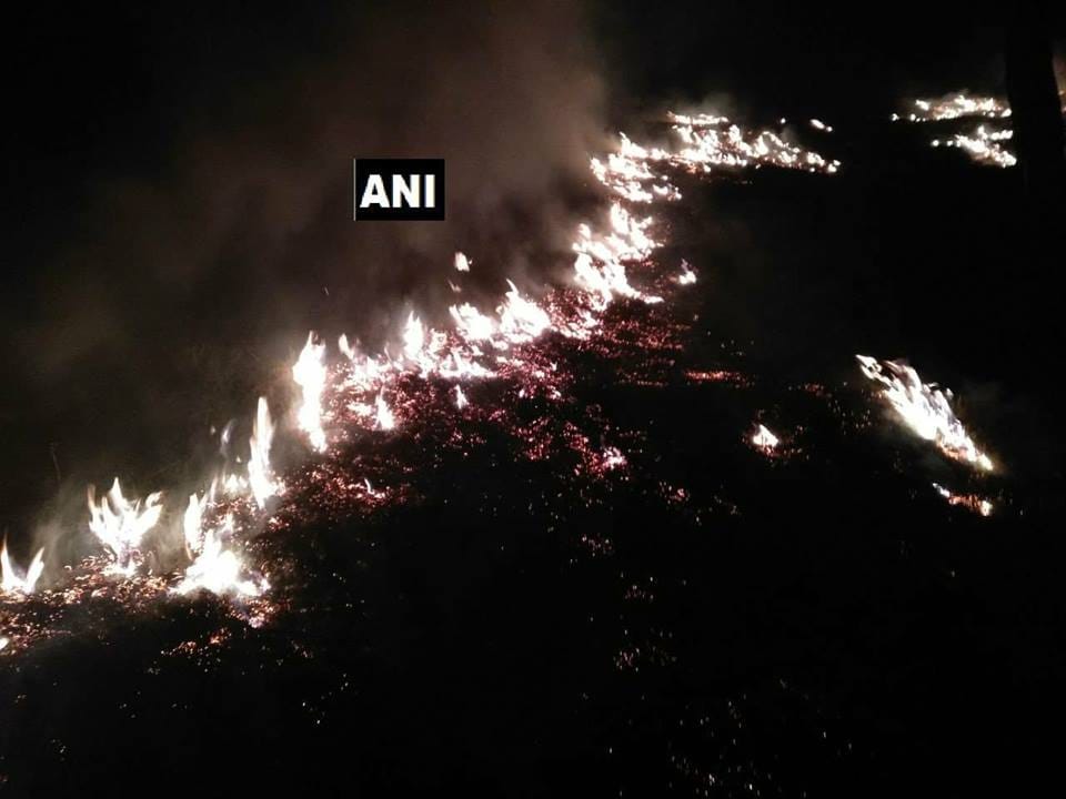 wildfire broke out in uttarakhand pithoragarh on summers rare Herbs burn
